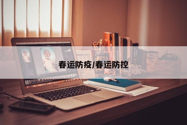 春运防疫/春运防控