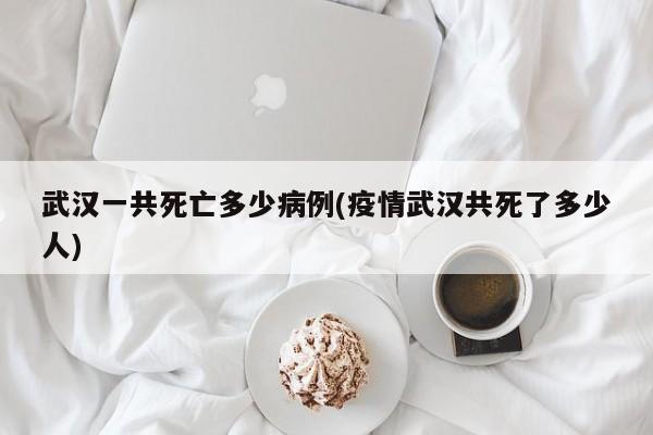 武汉一共死亡多少病例(疫情武汉共死了多少人)