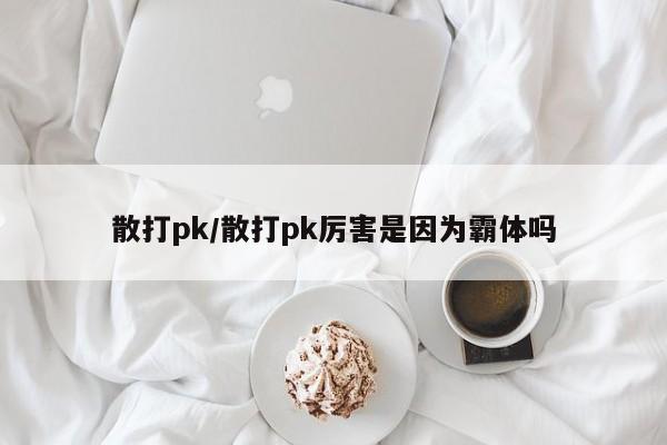 散打pk/散打pk厉害是因为霸体吗